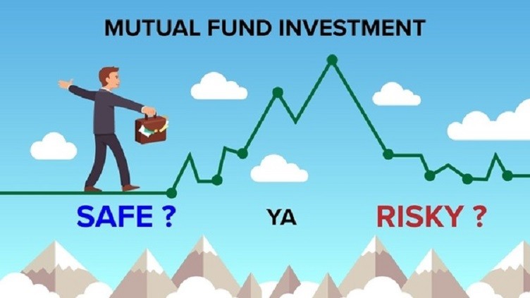 Mutual fund investor